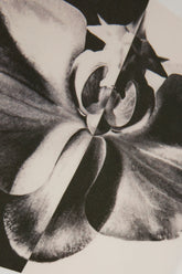  -  | High Quality Luxury Handbag Shop